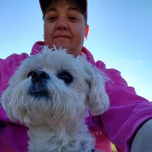 Meet your Posher, Dawn